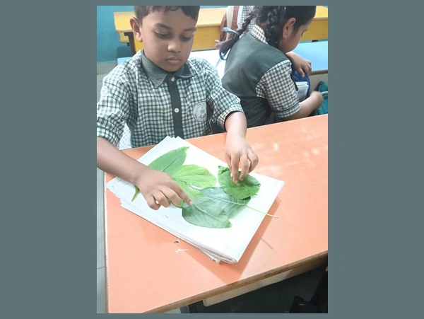 Traffic Awareness Program 